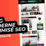 Création de votre blog professionnel sur mesure