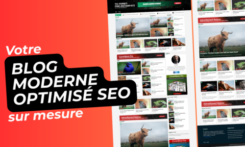 Création de votre blog professionnel sur mesure
